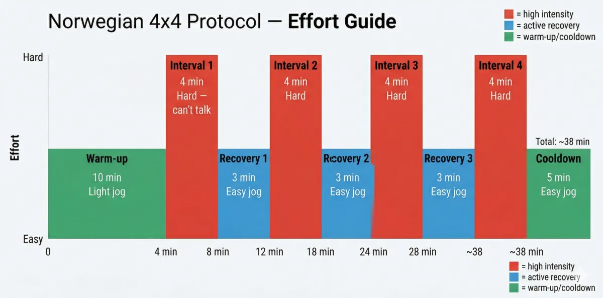 Norwegian 4x4 protocol effort guide showing four 4-minute high-intensity intervals at hard effort separated by 3-minute easy recovery periods, with 10-minute warm-up and 5-minute cooldown